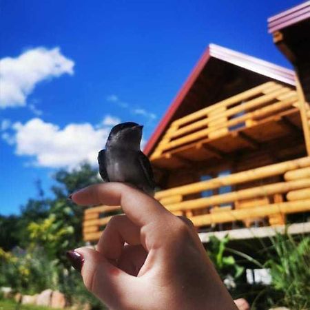 Wooden House "Una" Kulen Vakuf Luaran gambar