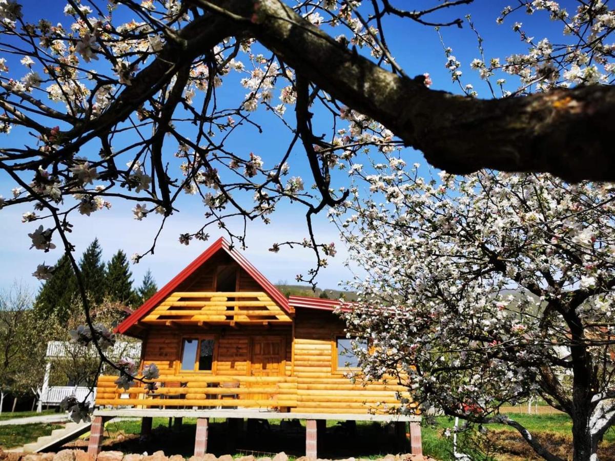 Wooden House "Una" Kulen Vakuf Luaran gambar